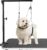 Adjustable Dog Grooming Arms with Anti-Slip Powerful Metal Clamp,Portable Pet Grooming Arm for Table with 1 Loop Noose & Two No Sit Haunch Holder,Grooming Restraint for Small Medium Dogs/Cats at Home
