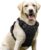 rabbitgoo Dog Harness, No-Pull Pet Harness with 2 Leash Clips, Adjustable Soft Padded Vest, Reflective No-Choke Pet Oxford Vest with Easy Control Handle for Large Dogs, Black, L