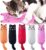 Legendog 5Pcs Catnip Toy, Cat Chew Toy Bite Resistant Catnip Toys for Cats,Catnip Filled Cartoon Mice Cat Teething Chew Toy