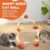 Interactive Cat Toy for Indoor Cats, Two Speed Smart Automatic Cat Toy Moving Ball with Tail, 2 Pack Rechargeable Motion Activated Cat Toys for Bored Indoor Adult Cats (Adapter Not Included)