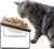 Sunhoo Cat Bowl Elevated Cat Food Water Bowls Raised Kitty Dish Set of 2 Ceramic 15° Tilted Puppy Dishes Pet Bowl with Bamboo Stand Indoor Anti Vomiting