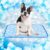 【Standard】 Dog Cooling Mat for Summer, Rywell Medium Pet Cooling Pad with Arc-Chill Q-Max＞0.5, Color-Changing Fabric, Washable & Portable, Non-Slip Cooling Mat for Dogs & Cats–20″×30″ (50×75cm), Blue