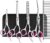 GEMEK Dog Grooming Scissors Set, 4CR Stainless Steel Safety Round Tip Pet Professional Grooming Tool 5 Pieces Kit – Straight, Curved, Thinning Shears & Comb for Dogs, Cats and Other Animals