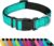 Reflective Dog Collar, Adjustable Soft Neoprene Padded Nylon Pet Collars with Buckle for Medium Dogs, Teal,M