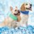 BEAUTYZOO Dog Cooling Bandana, 2-Pack Instant Chill Ice Neck Cooler Wrap for Outdoor Summer, Adjustable Reusable Pet Scarf Lasts 2 Hours, Heat Relief Prevent Sunstroke for Small Dogs 9″-14″ Blue