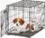 Small Dog Crate Midwest Life Stages 24″ Folding Metal Dog Crate Divider Panel, Floor Protecting Feet, Leak-Proof Dog Pan 24L x 18W x 19H Inches, Small Dog Breed
